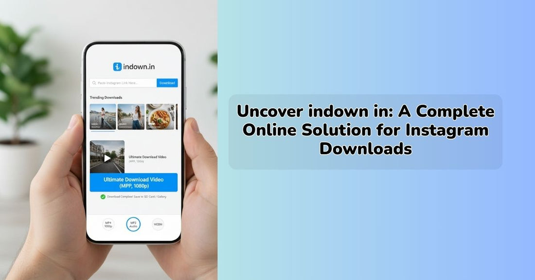 indown in Instagram downloader interface for saving reels and videos