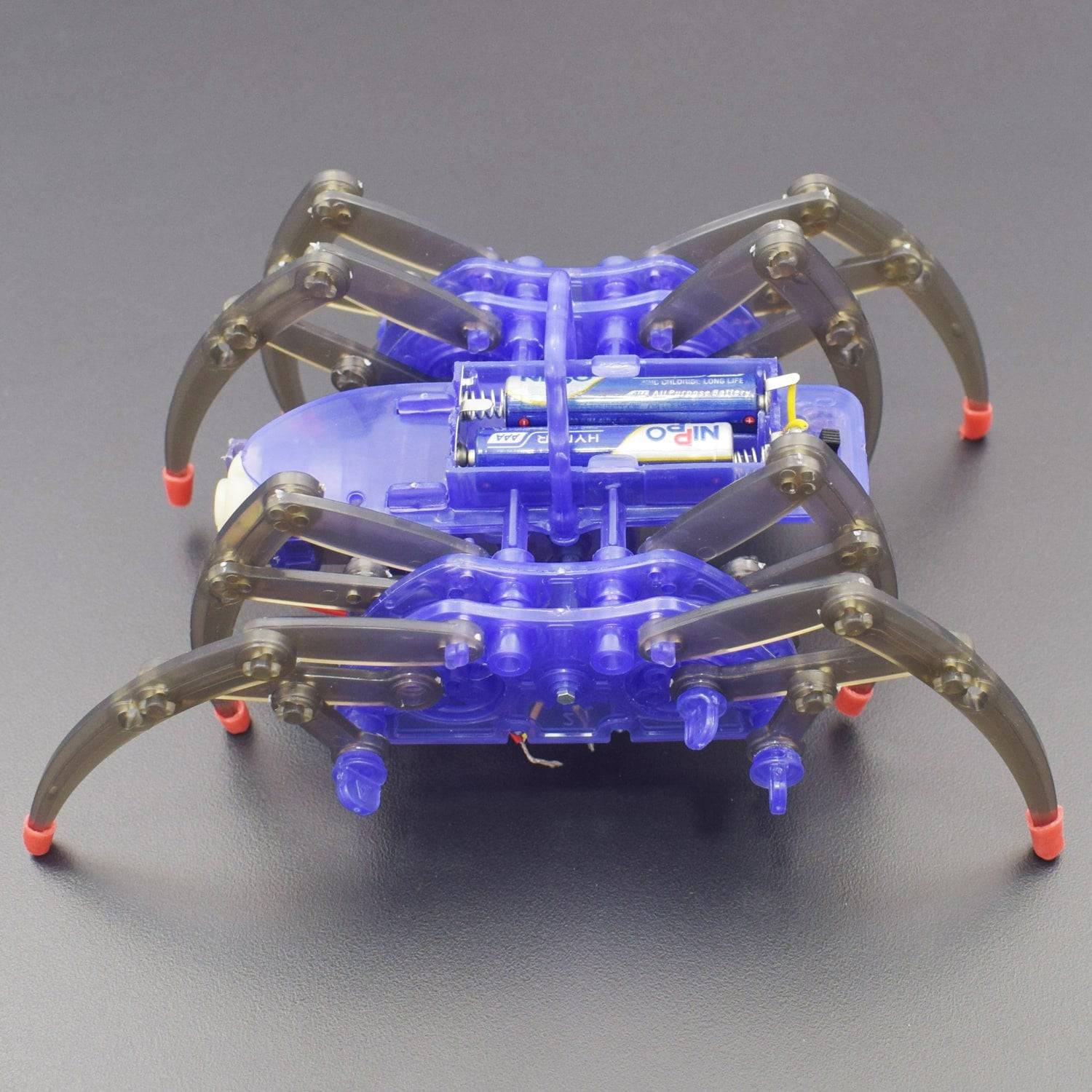 Electric Spider High Simulation DIY Robot Kit for Kids 6+ years – IEM ...