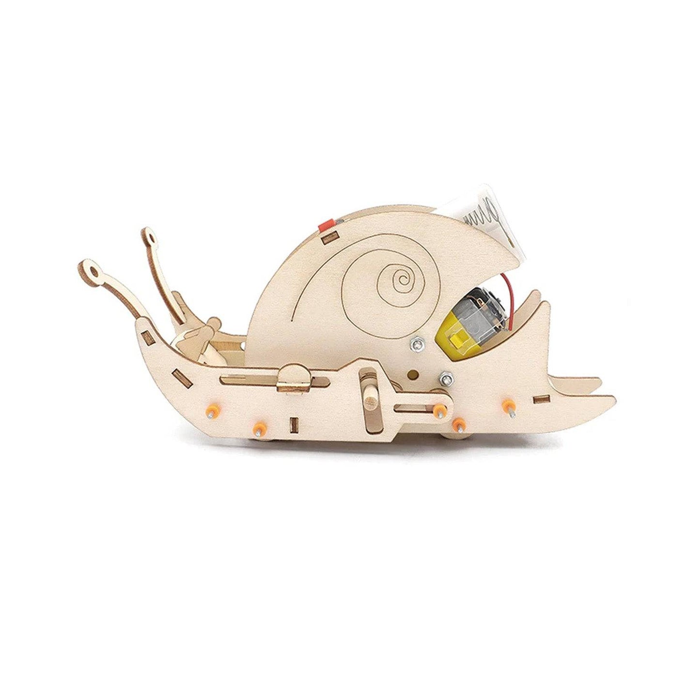 DIY Creeping Snail STEM Kit