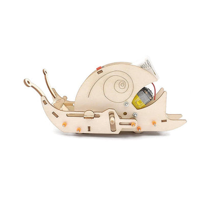 DIY Creeping Snail STEM Kit